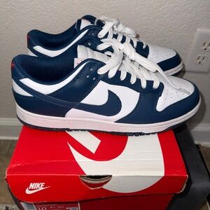 Nike Navy and White Low-Top Sneakers